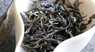 普洱大叶茶图片大全：高清欣赏与功效解析