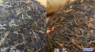 哀牢山普洱茶价格、特点及口感探究