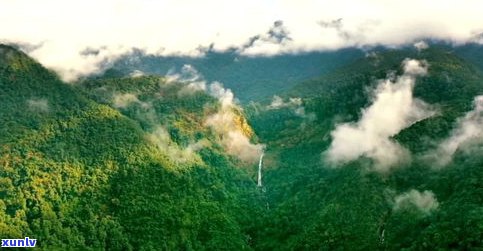 哀牢山的茶怎么样？探究哀牢山的好茶与独特口感、价格