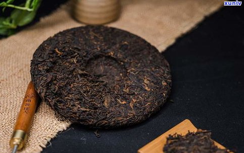 普洱茶里金色虫卵是什么？揭示神秘生物的身份