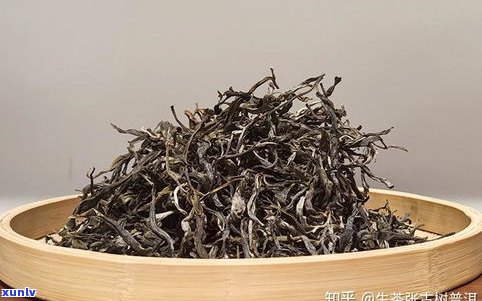 地界普洱茶生茶：特点、价格与口感全解析