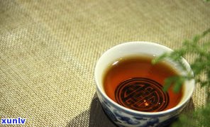 龙家坡普洱茶特点-龙家坡普洱茶特点介绍