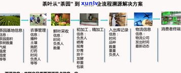 全面解析：普洱茶的分类、用途及其图片展示