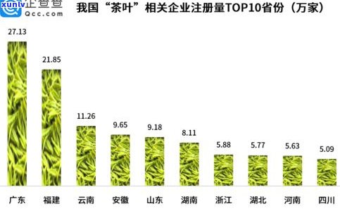 全面解析：普洱茶叶分类及其特点与标准