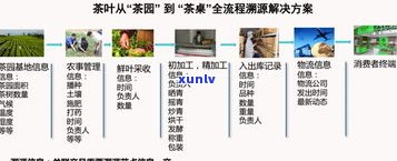 全面解析：普洱茶叶分类及其特点与标准