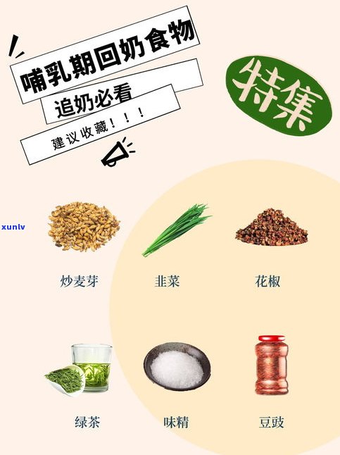 产妇坐月子期间能否饮用普洱茶？影响母乳喂养及回奶效果的可能性