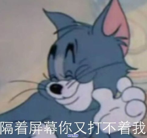 猫和老鼠饰品全集：图鉴与介绍，一网打尽！