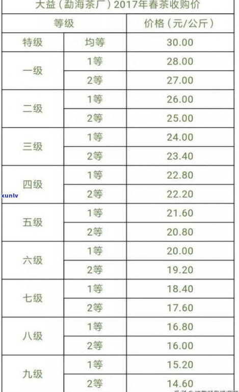 今大福普洱茶官网：最新价格、行情报价与品牌排名全览