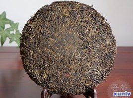 古树普洱茶哪里好一点？产地、品牌及十大名牌茶厂全解析