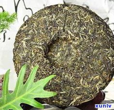 古树普洱茶十大名牌茶厂：排名与品牌一览