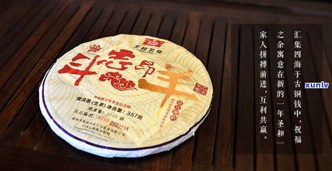 福鼎普洱茶饼价格全解析：饼、斤、个、包、砖，一网打尽！