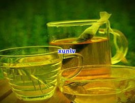 惠州产什么茶？了解当地更具代表性的茶叶品种及其特点