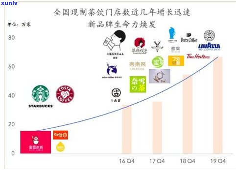 兴荣号茶叶：产地、公司介绍与产品概述