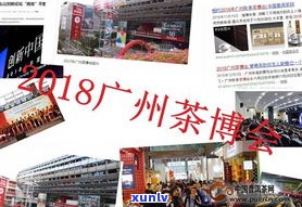 南宁市普洱茶批发市场地址及联系方式查询