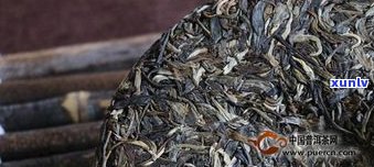 喝普洱茶不良反应-喝普洱茶不良反应有哪些