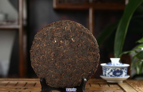 现存最老的普洱茶树：品种、年龄及历史文化价值