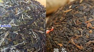 三郎寨普洱茶特点揭秘：产地、口感、功效全解析