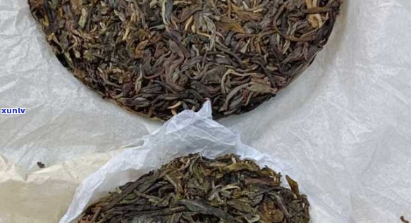 大青山普洱茶特点介绍：深入了解这款独特的山茶