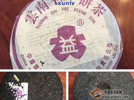 值得收藏的大益普洱茶：经典款与收藏价值解析