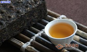 普洱茶消费者-普洱茶消费者分析