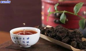 普洱茶是什么时候-普洱茶是什么时候出现的