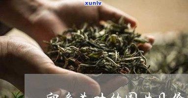 基诺山普洱茶价格一览：多少钱一斤？图片与价格表全在这！