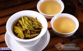 生熟普洱茶的泡法-生熟普洱茶的泡法区别