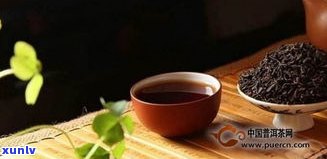 喝熟普洱茶的后果-喝熟普洱茶的后果是什么