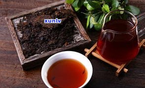 喝熟普洱茶的后果-喝熟普洱茶的后果是什么