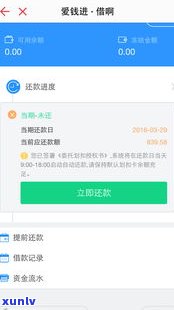 借呗和网商贷可以协商还款吗-借呗和网商贷可以协商还款吗怎么还