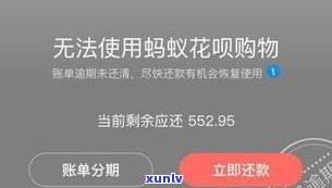 借呗逾期两年了：可能面临的结果、诉讼应对及还款解决  ，能否减免利息？