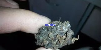 普洱茶饼上白点：发霉还是白霜？能否饮用？高清图解