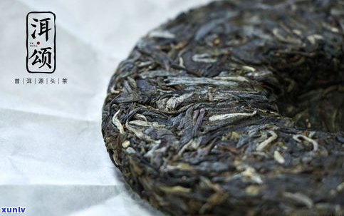 普洱茶饼里的黑点-普洱茶饼里的黑点是什么