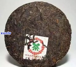 古代对普洱茶的别称及其雅称探析