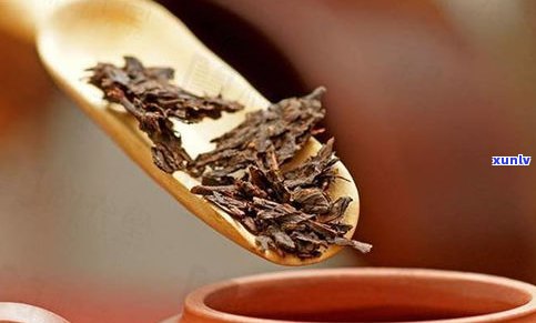 探究古代普洱茶的存在与贩卖：普洱茶树、 *** 工艺与历史渊源