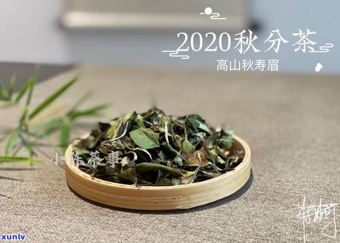 康熙普洱茶多少钱一斤？年代、品质影响价格