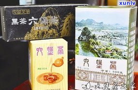 康熙普洱茶多少钱一盒？全网最全价格及图片大揭秘！