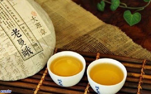 专注老曼峨普洱茶-专注老曼峨普洱茶是真的吗