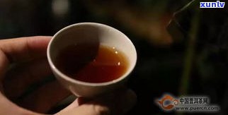 播放普洱茶进化论-播放普洱茶进化论的视频