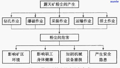 普洱茶香味形成原理详解：揭示其独特的香气来源与生成过程