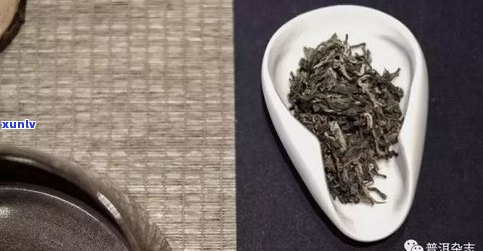 普洱茶香味的形成-普洱茶香味的形成过程