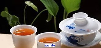 喝普洱茶会有何不良反应？了解其可能的危害性