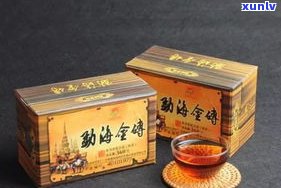 小金砖普洱茶视频教程全集：从入门到精通