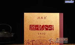 小金砖普洱茶视频教程全集：从入门到精通