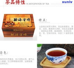 小金砖普洱茶视频-小金砖普洱茶视频大全