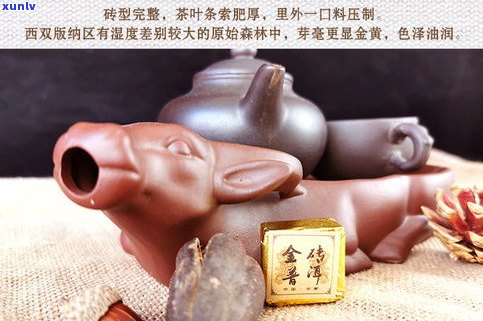 小金砖普洱茶视频-小金砖普洱茶视频大全