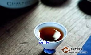 普洱茶：冬天喝还是夏天喝？哪个季节更适合饮用普洱茶？