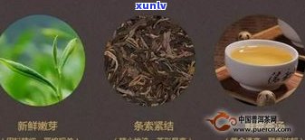 普洱茶是什么树叶-普洱茶是什么树叶做的