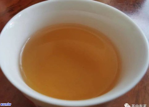 橘子普洱茶怎么喝-橘子普洱茶怎么喝更好