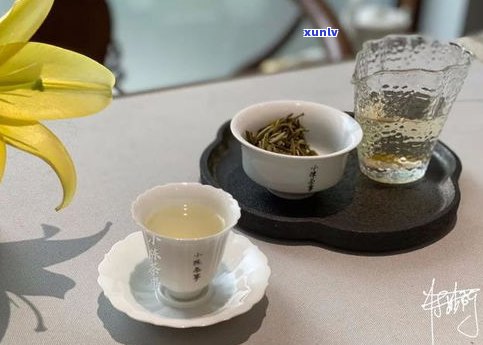 白茶像普洱茶好吗？为什么说它坑爹又不好喝？是普洱茶的一种吗？